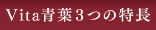 Vita青葉３つの特長